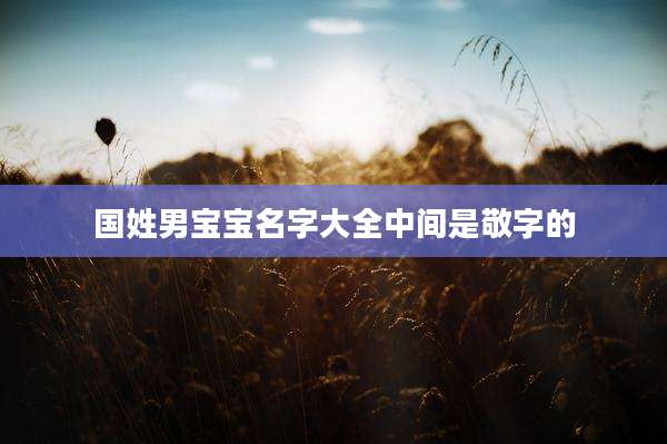 国姓男宝宝名字大全中间是敬字的