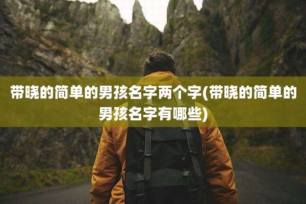 带晓的简单的男孩名字两个字(带晓的简单的男孩名字有哪些)