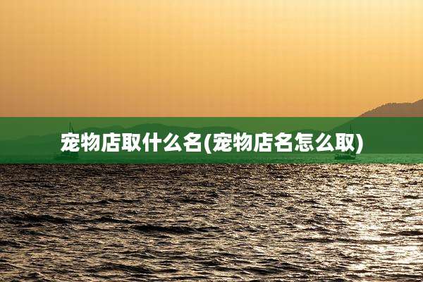 宠物店取什么名(宠物店名怎么取)