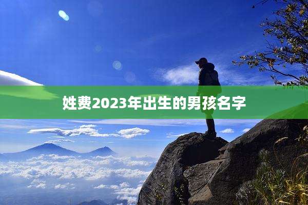 姓费2023年出生的男孩名字