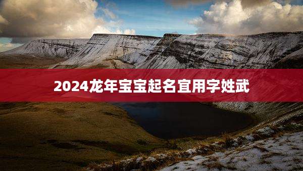 2024龙年宝宝起名宜用字姓武