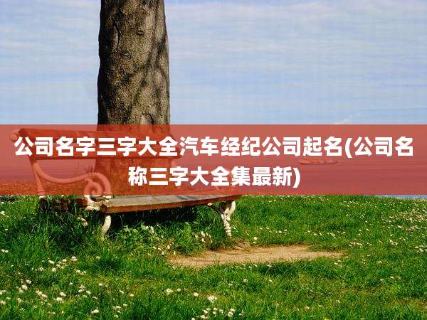 公司名字三字大全汽车经纪公司起名(公司名称三字大全集最新)