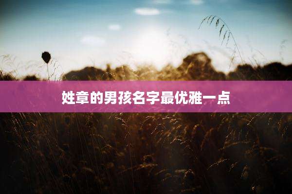 姓章的男孩名字最优雅一点
