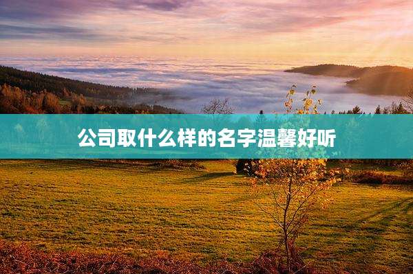 公司取什么样的名字温馨好听