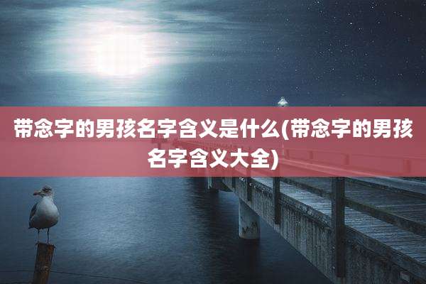 带念字的男孩名字含义是什么(带念字的男孩名字含义大全)