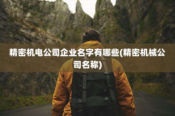 精密机电公司企业名字有哪些(精密机械公司名称)