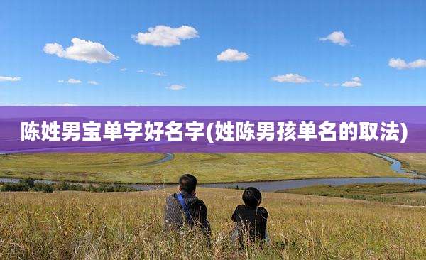 陈姓男宝单字好名字(姓陈男孩单名的取法)