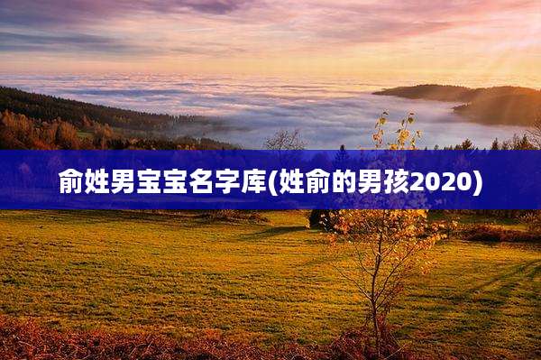 俞姓男宝宝名字库(姓俞的男孩2020)