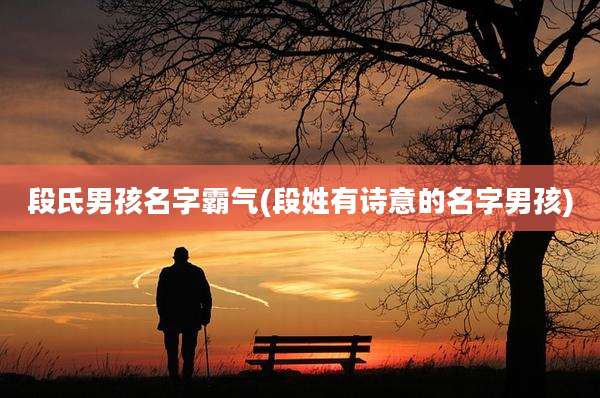 段氏男孩名字霸气(段姓有诗意的名字男孩)