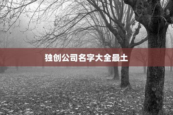 独创公司名字大全最土