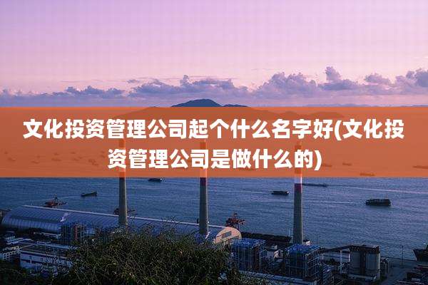 文化投资管理公司起个什么名字好(文化投资管理公司是做什么的)