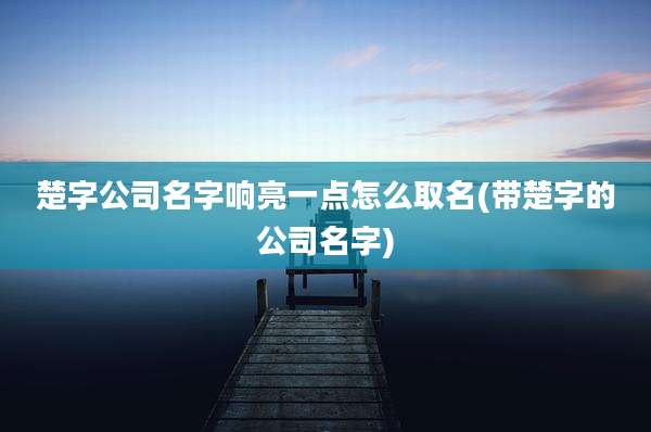 楚字公司名字响亮一点怎么取名(带楚字的公司名字)