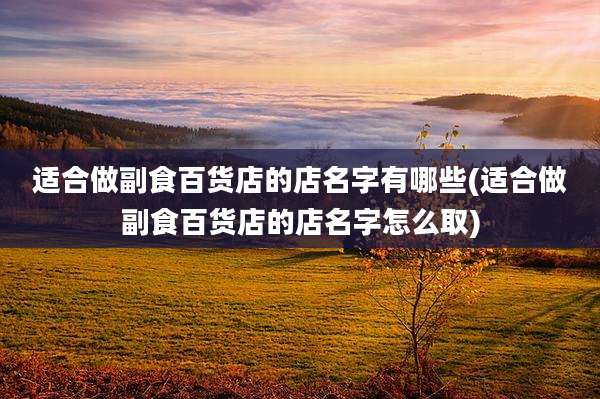 适合做副食百货店的店名字有哪些(适合做副食百货店的店名字怎么取)