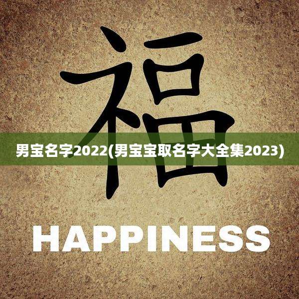 男宝名字2022(男宝宝取名字大全集2023)