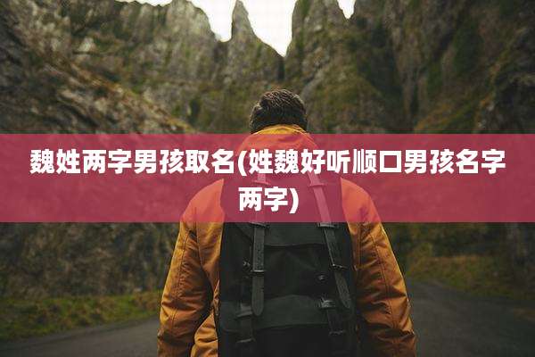 魏姓两字男孩取名(姓魏好听顺口男孩名字两字)