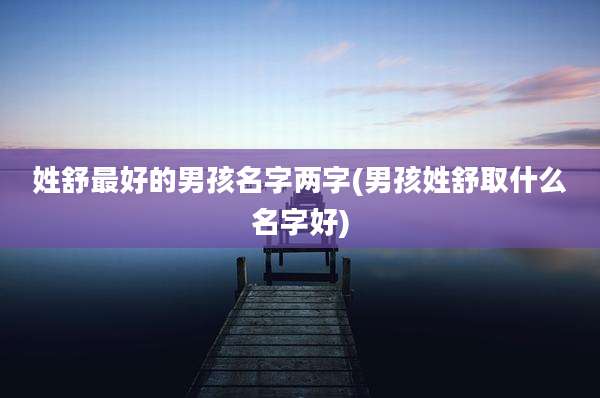 姓舒最好的男孩名字两字(男孩姓舒取什么名字好)