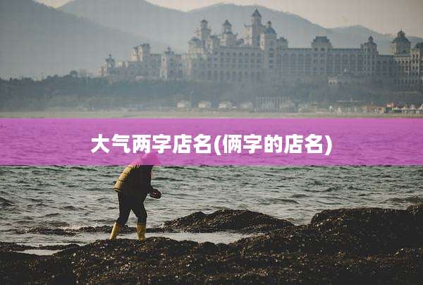 大气两字店名(俩字的店名)