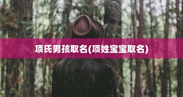 项氏男孩取名(项姓宝宝取名)