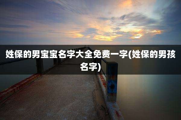姓保的男宝宝名字大全免费一字(姓保的男孩名字)