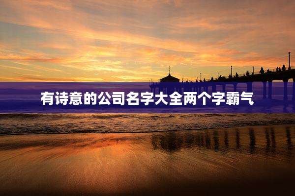 有诗意的公司名字大全两个字霸气