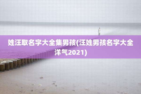 姓汪取名字大全集男孩(汪姓男孩名字大全洋气2021)