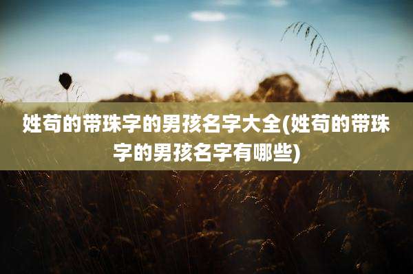 姓苟的带珠字的男孩名字大全(姓苟的带珠字的男孩名字有哪些)