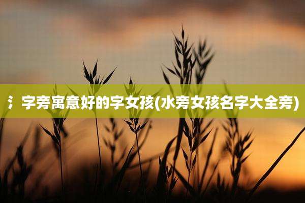 氵字旁寓意好的字女孩(水旁女孩名字大全旁)