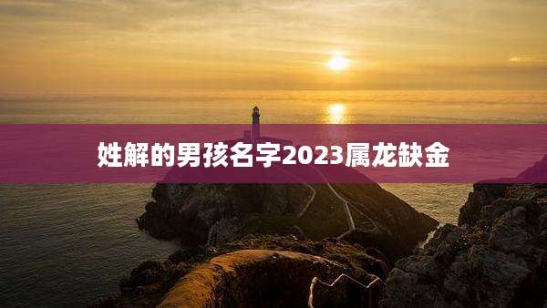 姓解的男孩名字2023属龙缺金