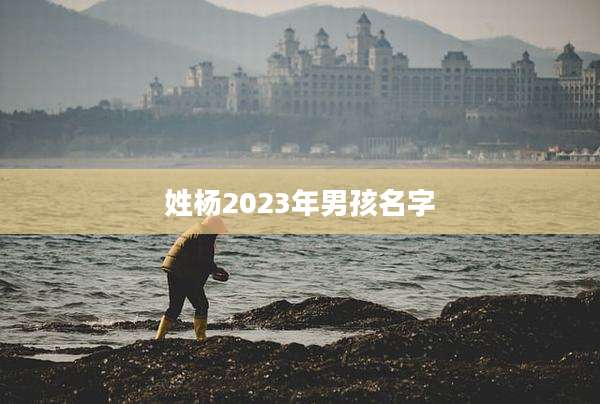 姓杨2023年男孩名字