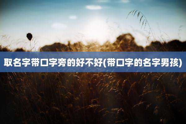 取名字带口字旁的好不好(带口字的名字男孩)