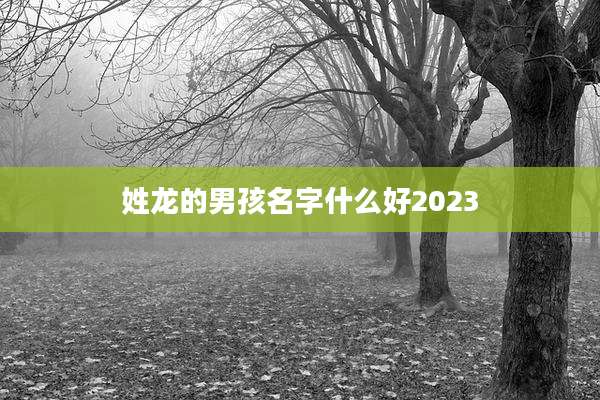 姓龙的男孩名字什么好2023