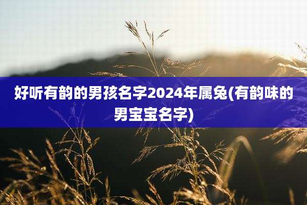 好听有韵的男孩名字2024年属兔(有韵味的男宝宝名字)