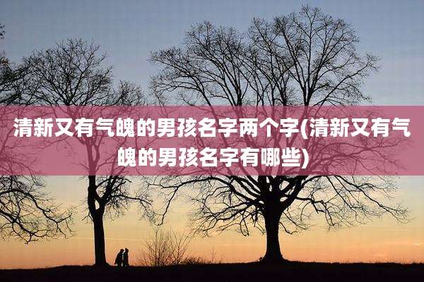 清新又有气魄的男孩名字两个字(清新又有气魄的男孩名字有哪些)