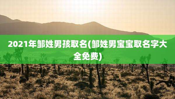 2021年邹姓男孩取名(邹姓男宝宝取名字大全免费)