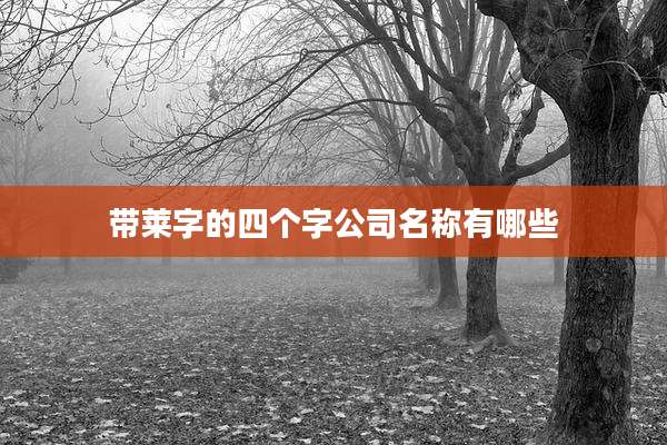 带莱字的四个字公司名称有哪些