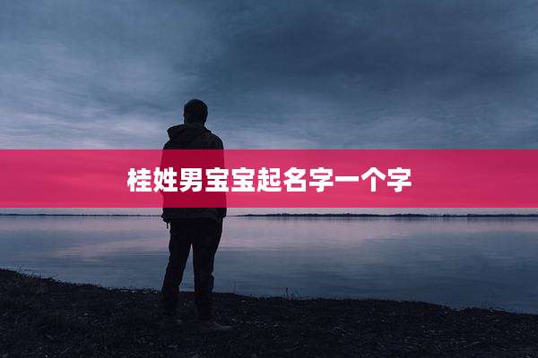 桂姓男宝宝起名字一个字