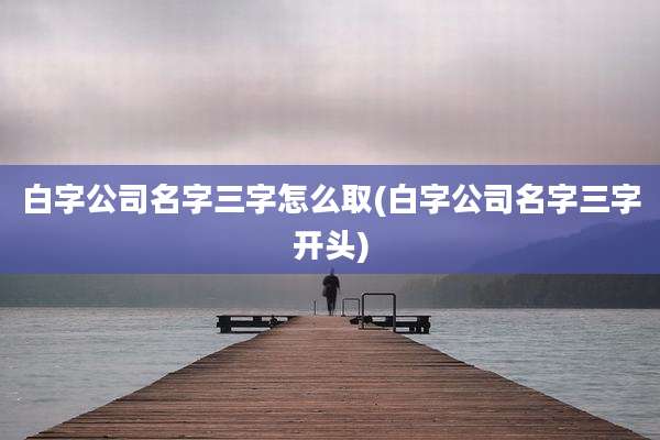 白字公司名字三字怎么取(白字公司名字三字开头)