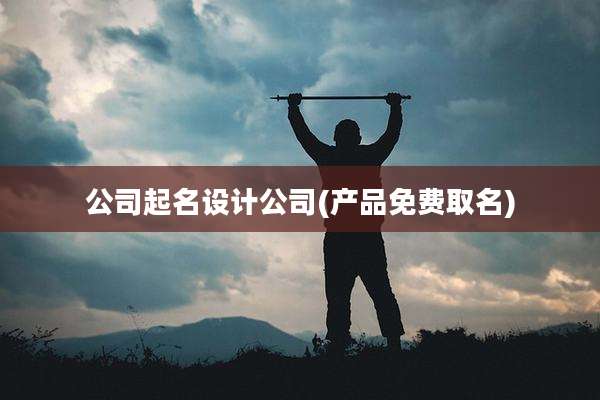 公司起名设计公司(产品免费取名)