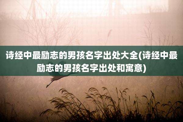 诗经中最励志的男孩名字出处大全(诗经中最励志的男孩名字出处和寓意)