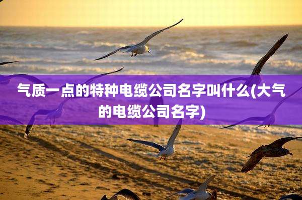 气质一点的特种电缆公司名字叫什么(大气的电缆公司名字)