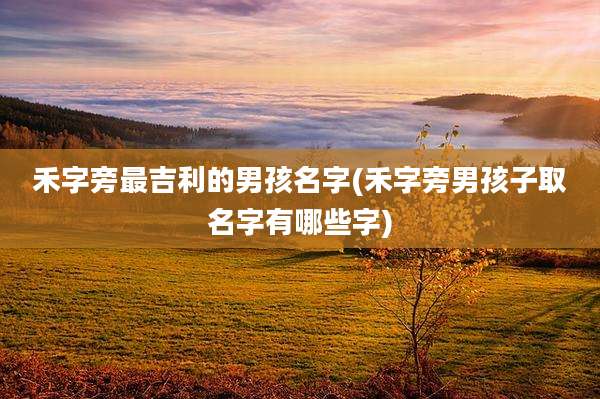 禾字旁最吉利的男孩名字(禾字旁男孩子取名字有哪些字)