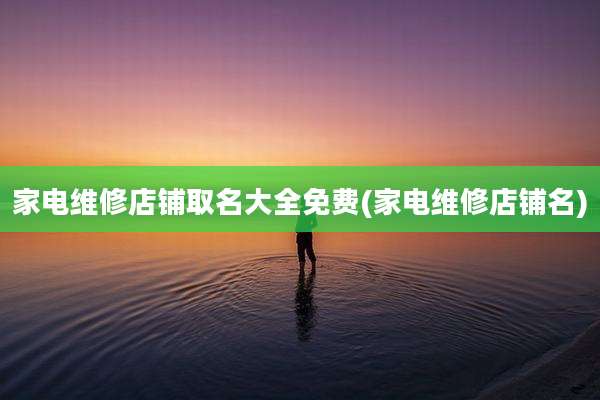 家电维修店铺取名大全免费(家电维修店铺名)