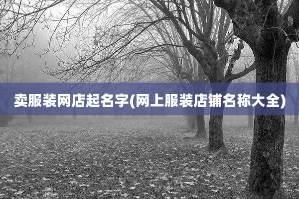 卖服装网店起名字(网上服装店铺名称大全)