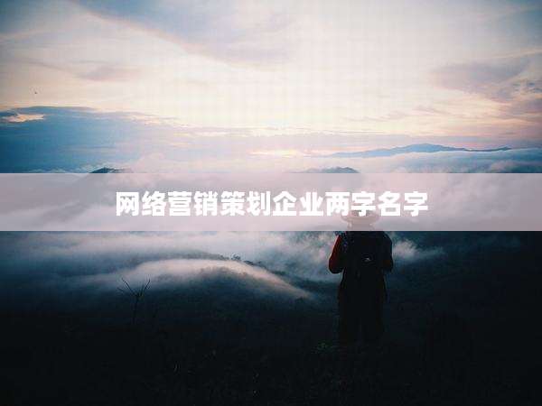 网络营销策划企业两字名字