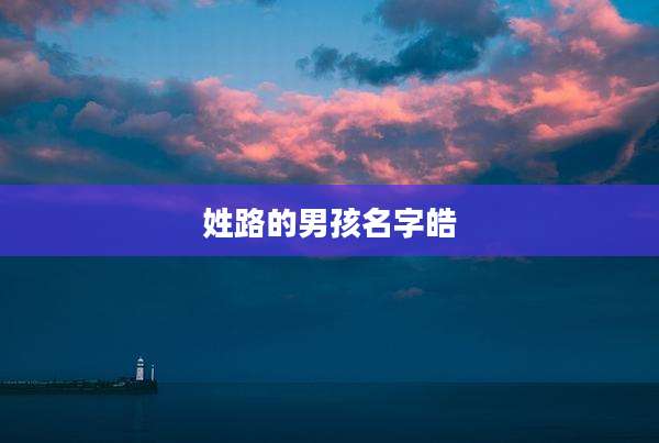 姓路的男孩名字皓