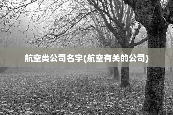 航空类公司名字(航空有关的公司)