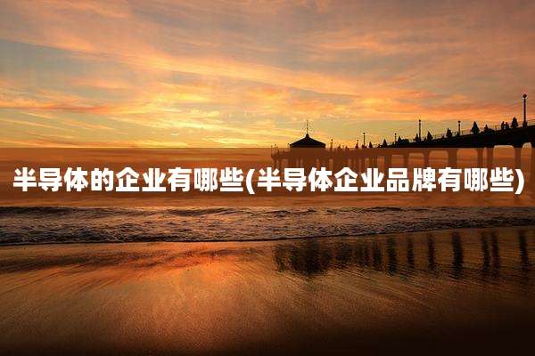 半导体的企业有哪些(半导体企业品牌有哪些)