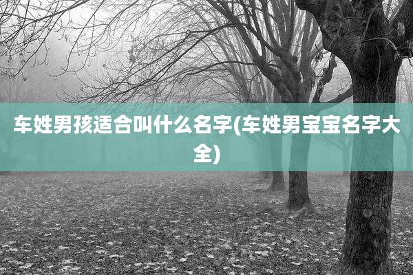 车姓男孩适合叫什么名字(车姓男宝宝名字大全)