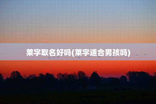 莱字取名好吗(莱字适合男孩吗)