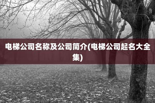 电梯公司名称及公司简介(电梯公司起名大全集)